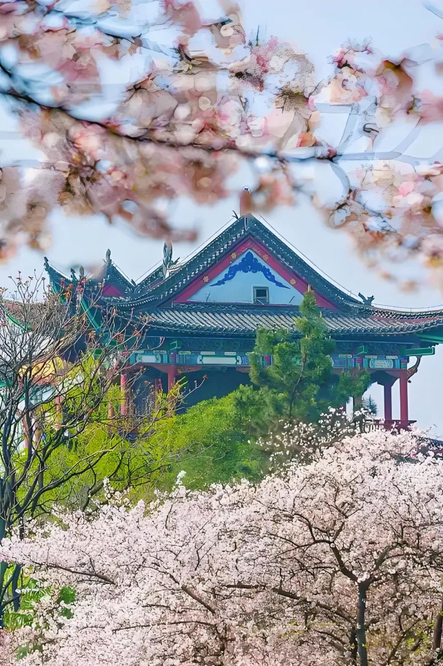 1751418878391263.jpg 1751418878391263.jpg