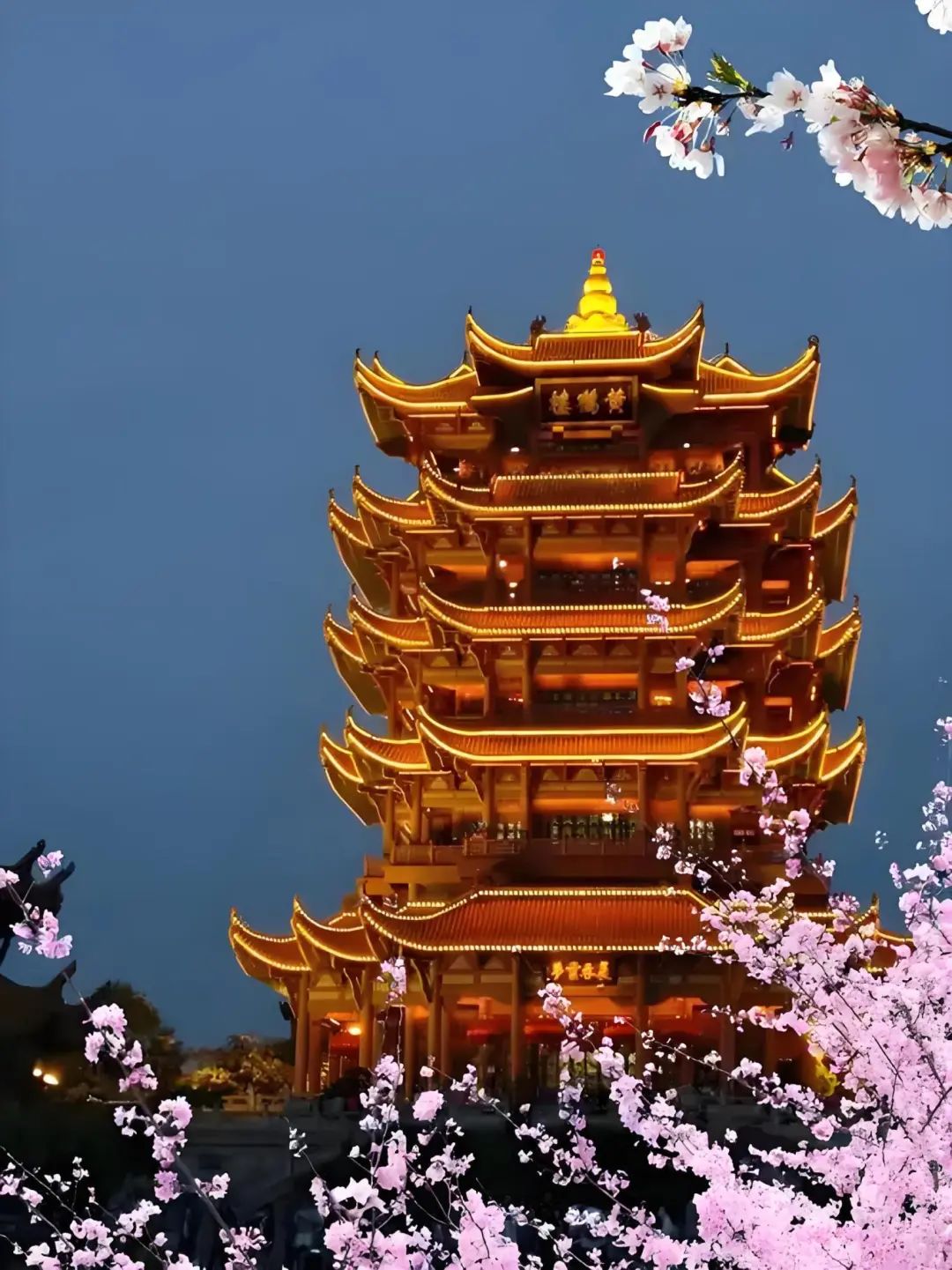 1751419389124867.jpg 1751419389124867.jpg