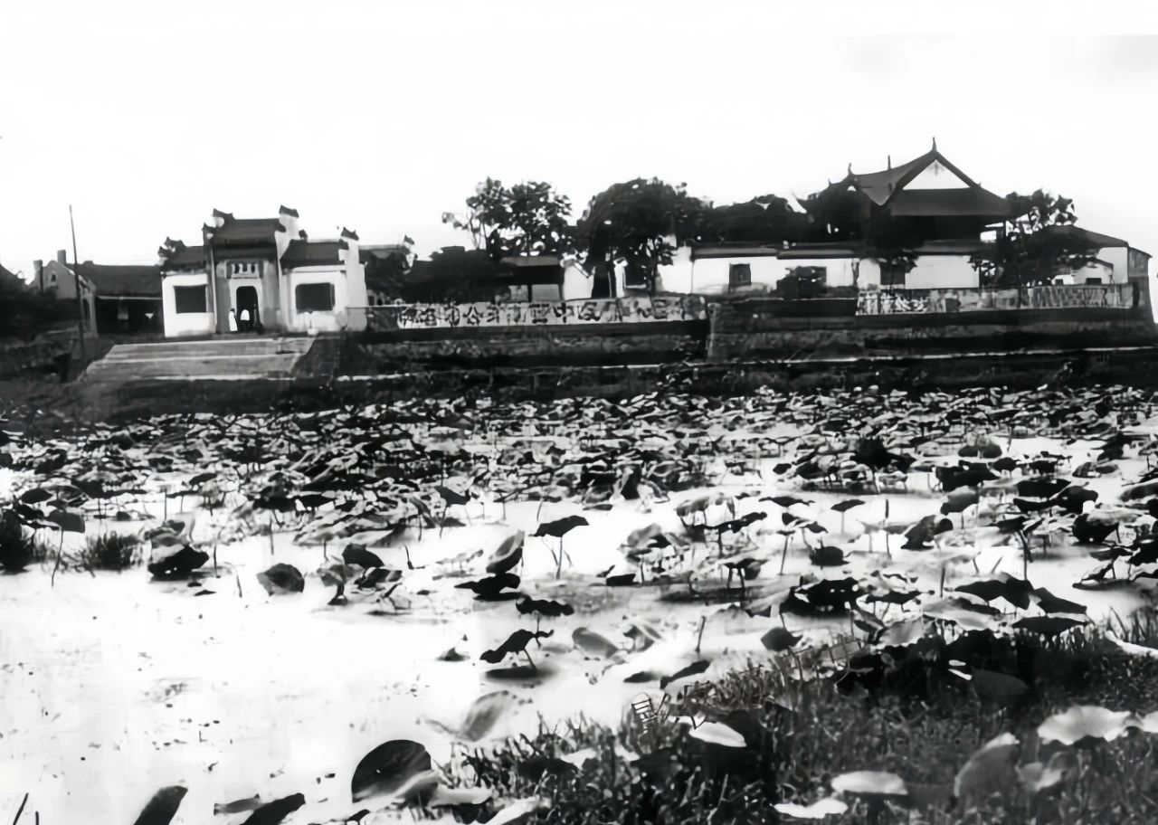 1752135364458780.jpg 1752135364458780.jpg