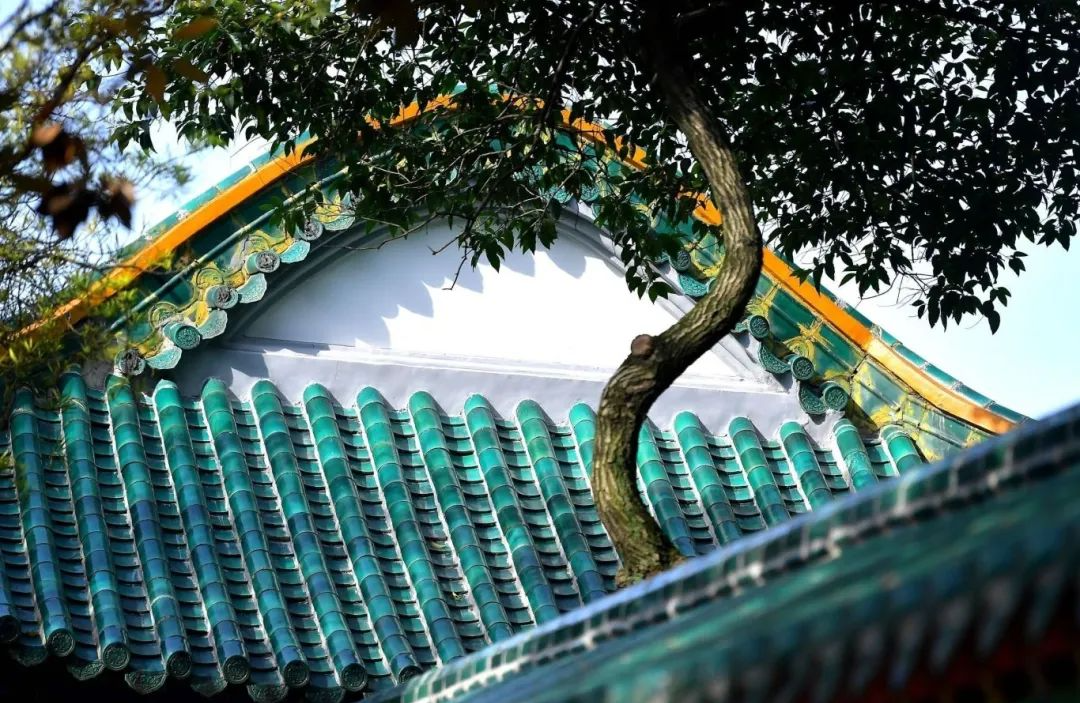 1752140032102885.png dfdb3346277b450ace3e8d19c567b472.png